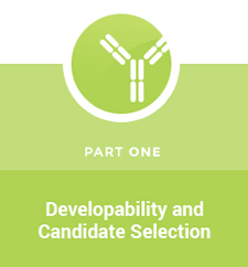 Developability and Candidate Selection