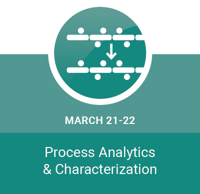 Process Analytics & Characterization